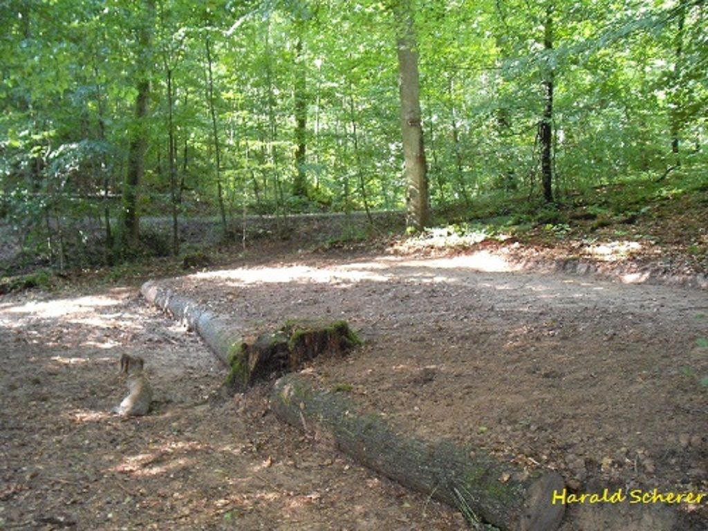 DHW0090.jpg